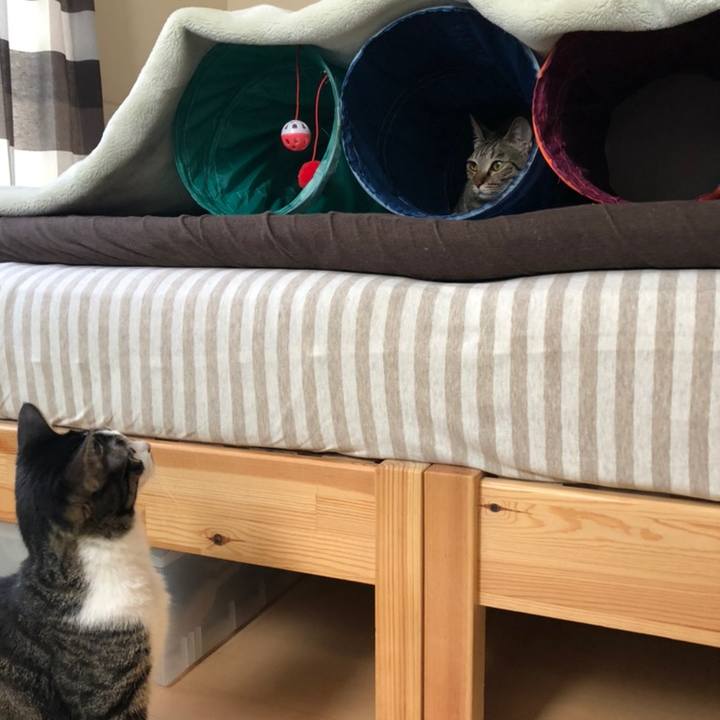 0c363fc5 8966 4bf1 9b00 bee0f82aba24 1558528627789