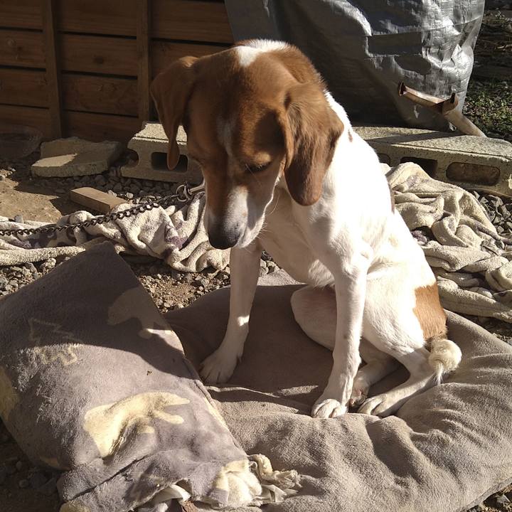 0c3673d0 58a1 4460 a566 52277914ee49 1646045882545