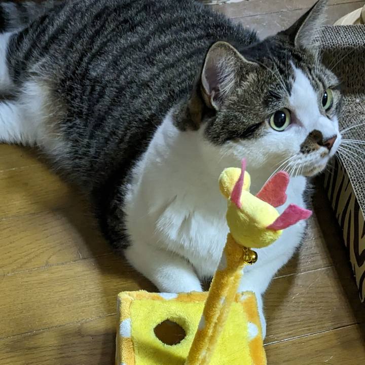 0c367c9b 29a6 406e 8a51 af901a7d90c9 1690327374233