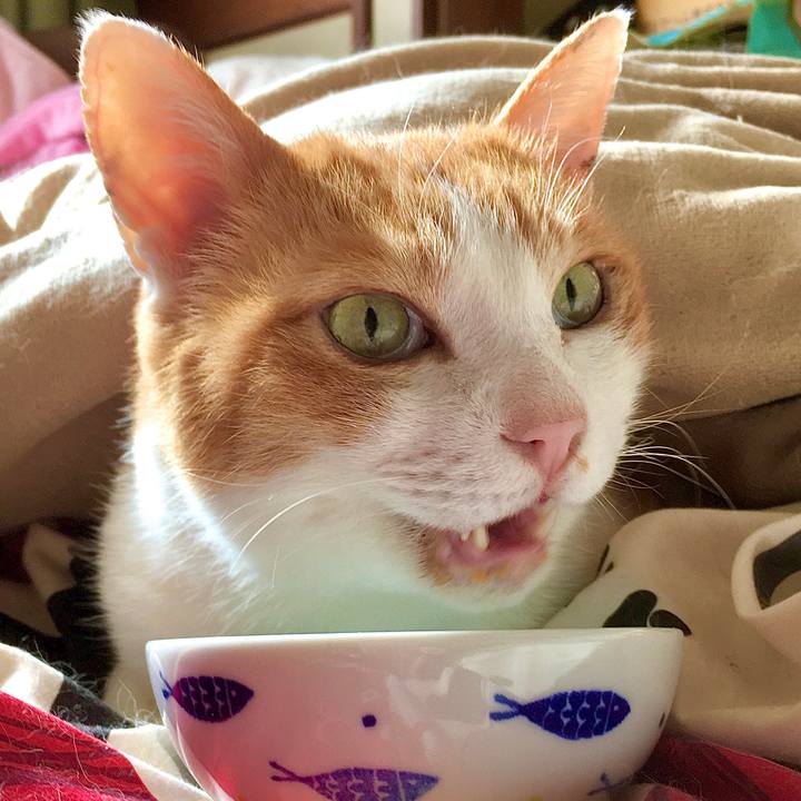 0c36837c f9e0 4db2 8d70 ab26a2d9689b 1581305647969