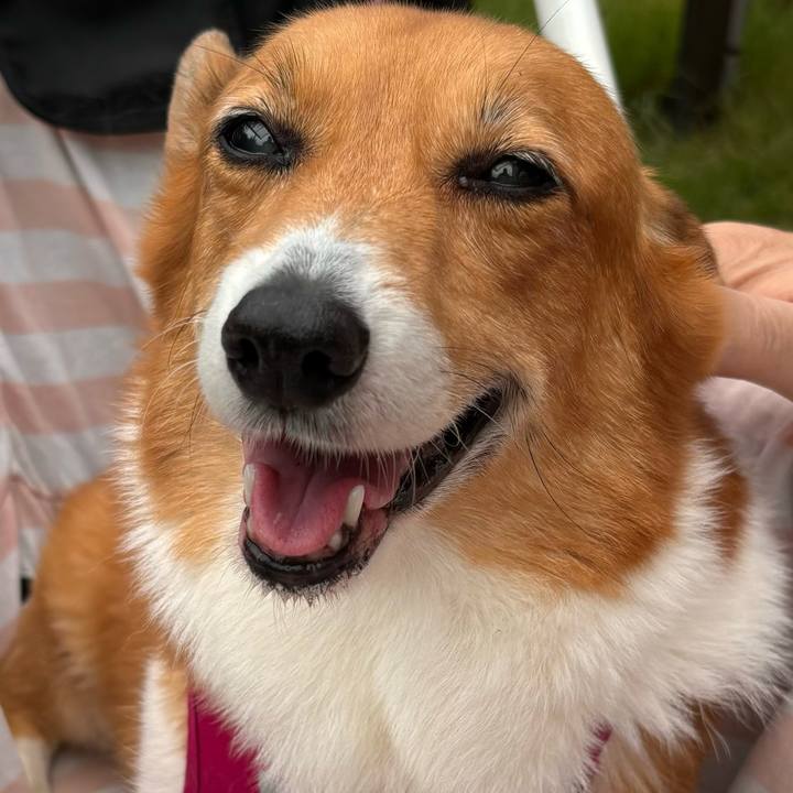 0c3690f4 ca4f 4a88 83c7 8062498ad7d0 1728011403742