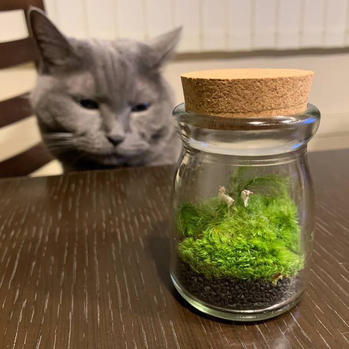 0c36b0a8 48da 402d 975f 6a3f6b84ad11 1671797836424