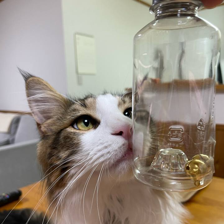 0c36b2ef 1698 4764 967d 4a30a0ca9acb 1644752617284