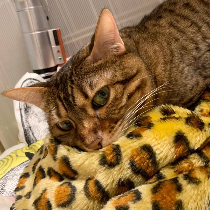 0c36cd2d 6f76 4ee9 8ad2 e2a2e7b9b67a 1632818542244