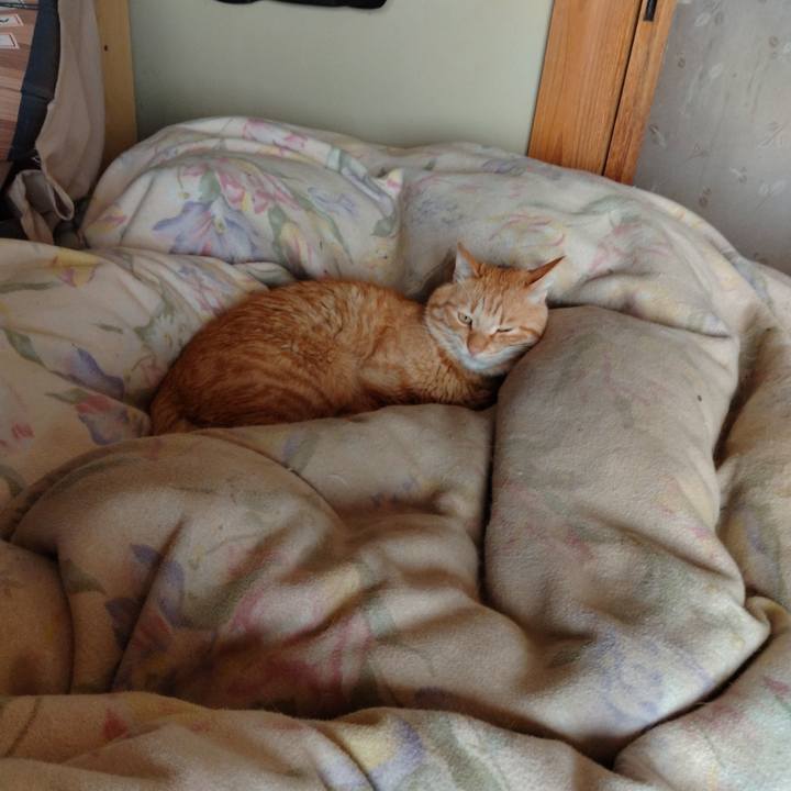 0c36d7e3 41b2 466e 8589 aa8e6ea9afc8 1685483029386