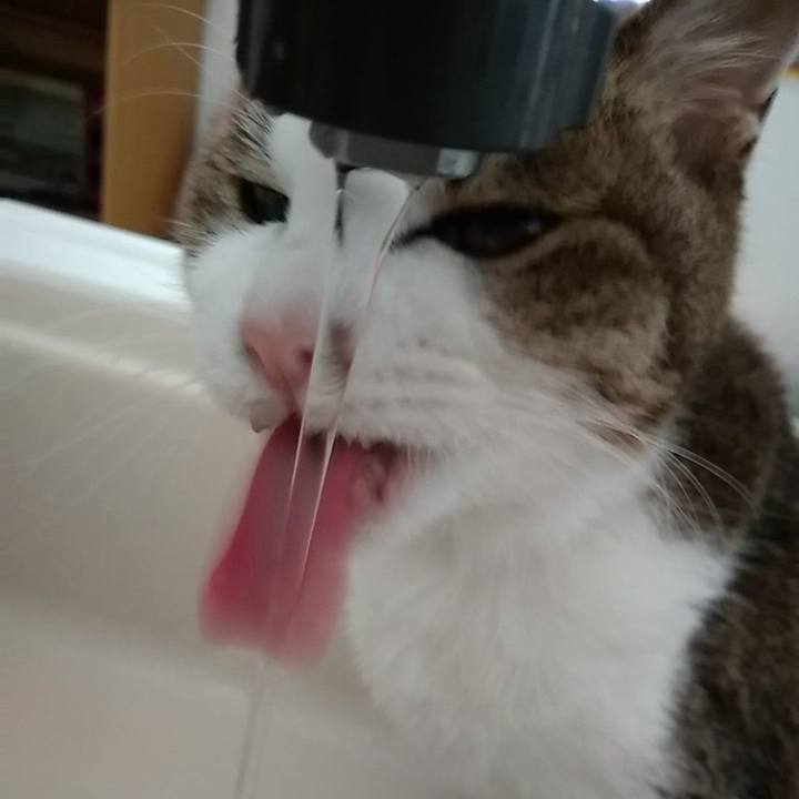 0c36fc6f afe4 495b ad97 2b6ccf9b8226 1560077941465