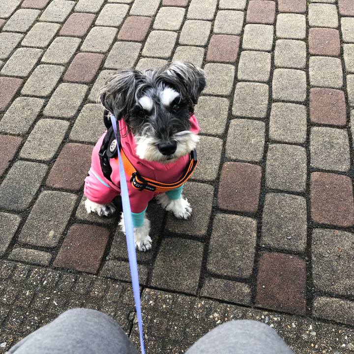 0c36ff92 81af 450f 864c 6817163b26da 1698444877374