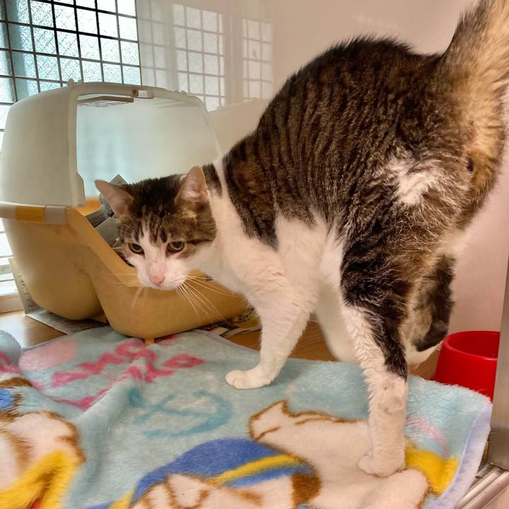 0c370af0 ccd6 4d8b 919d 667543f0e88f 1608073532453