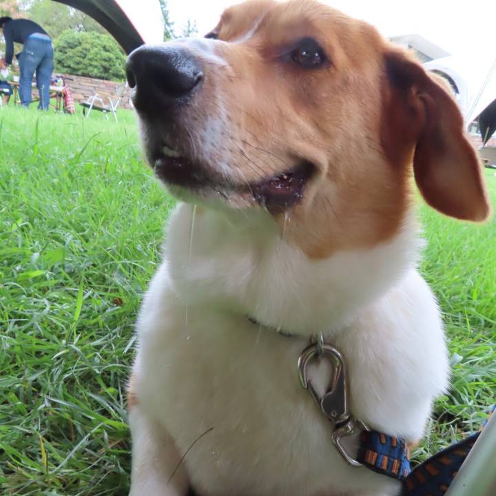 0c377788 7f33 41b6 8f8f 272197b47437 1631059004961