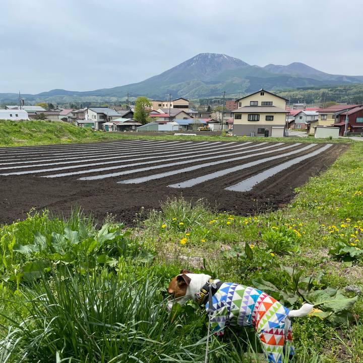 0c37783e 8c43 45cc 9ef7 26d1b0677551 1652236631688