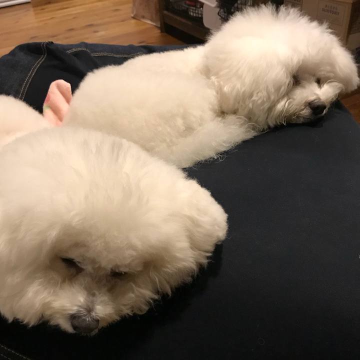 0c377cec 86fd 4037 a91c 1081f0be3146 1555413143488