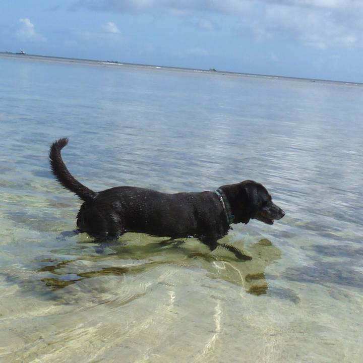 0c37da6f 39bd 45b1 9c19 febc477f4e19 1529231263076