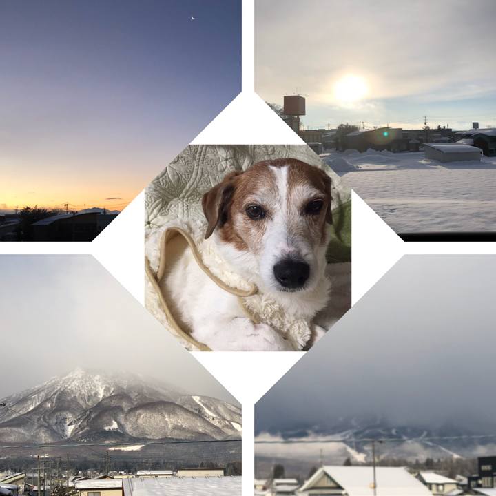 0c37ee53 ccd1 4e87 ad3a 9f72835514ce 1515800000552