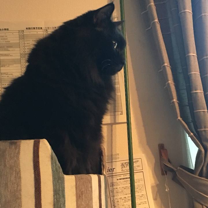 0c37fa9f 6c1a 4841 89e5 dc5454da868a 1543196624409