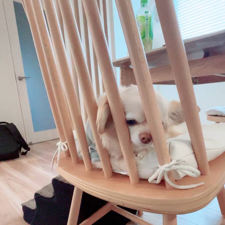 0c380701 57e8 43c8 ac6a cdb4bf34d8d8 1746533335351