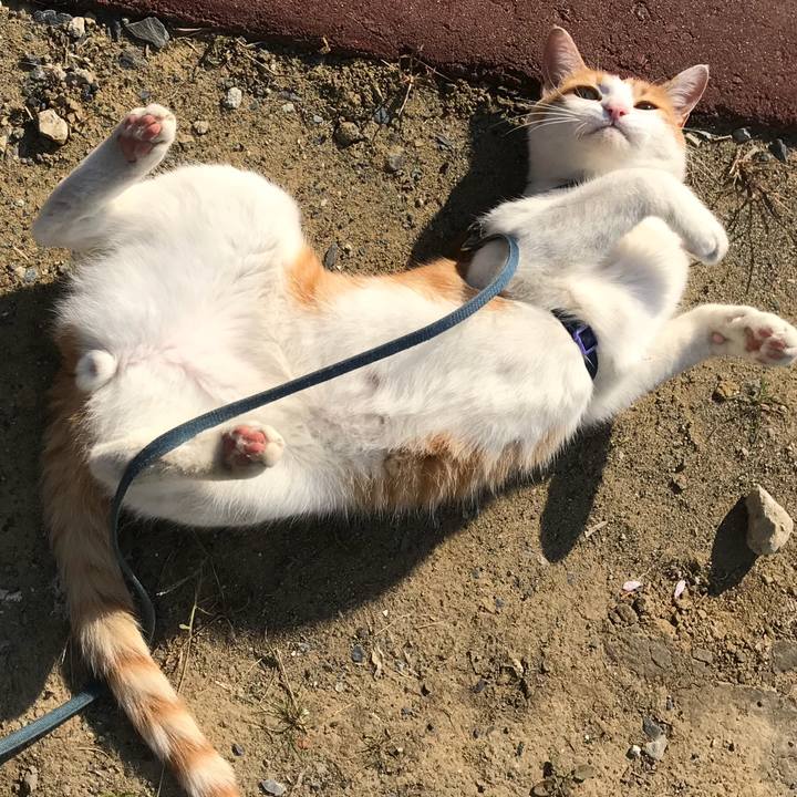 0c3817f5 44f2 42cb 8d3e 1ba5ba2faee4 1510742435868