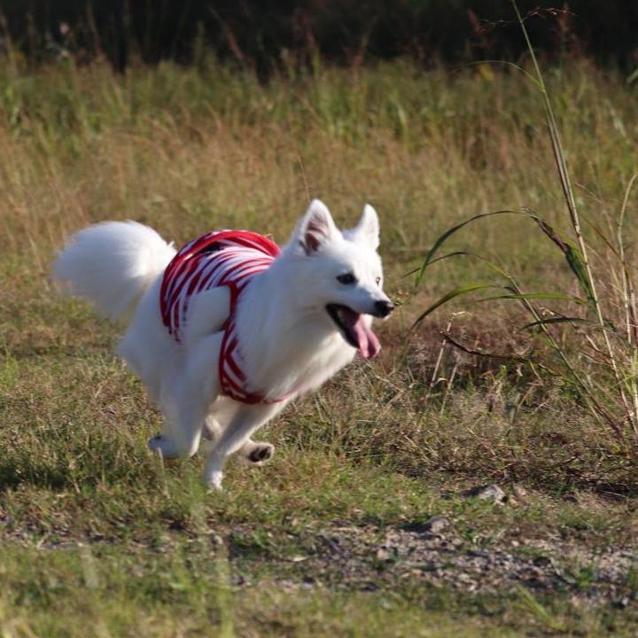 0c385fd1 f17f 49ad a543 f2f7ad511482 1540715336532