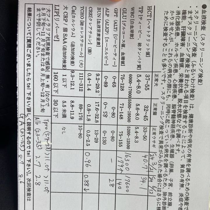 0c38905d 09f0 461e be5f 357983ab0423 1720927056188