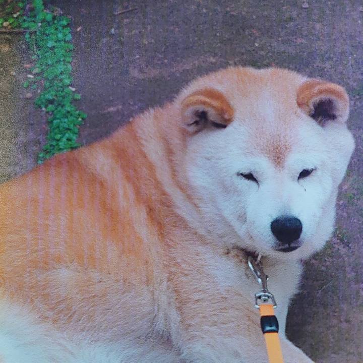 0c38af23 1cbf 47c6 a15b 7aa10e692b18 1604123478786