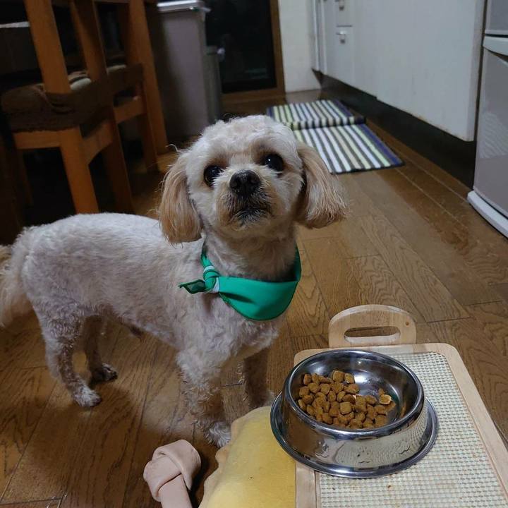 0c38b07b 274e 477c 968b d97ffb6fcd32 1611435060404