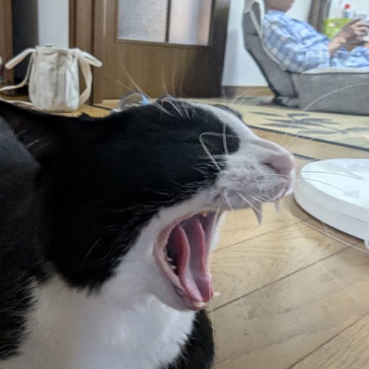 0c38d822 f01c 4c80 a9b5 3e1690642b9f 1721385264570