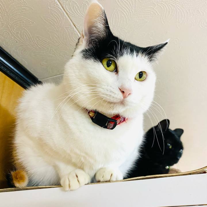 0c38f689 c331 4f23 af17 ffdee76419d7 1701769221352