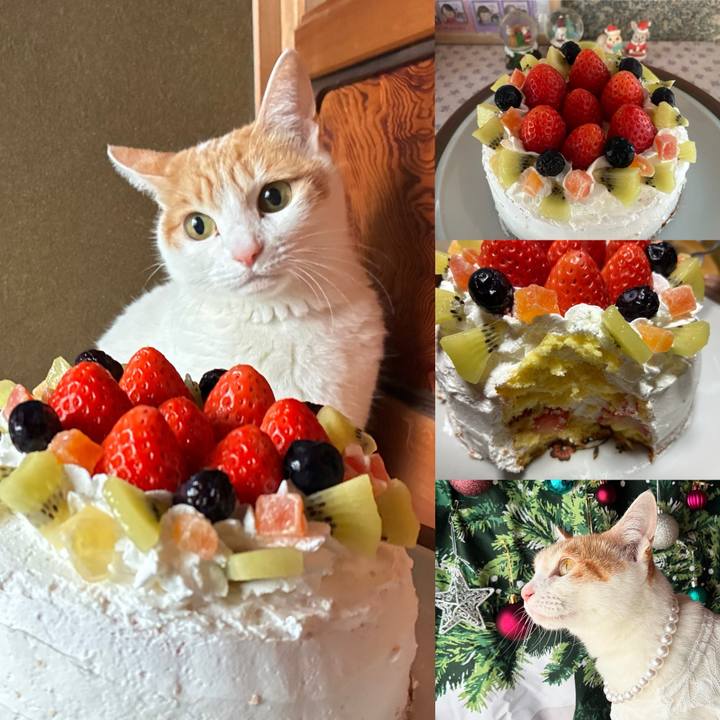 0c38fd5a 7c0b 44ae bed9 fb58f4a28c9e 1766645536131