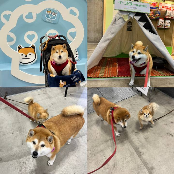 0c38ffb7 f92e 47e9 8fa8 d59f5312f41b 1648810836218