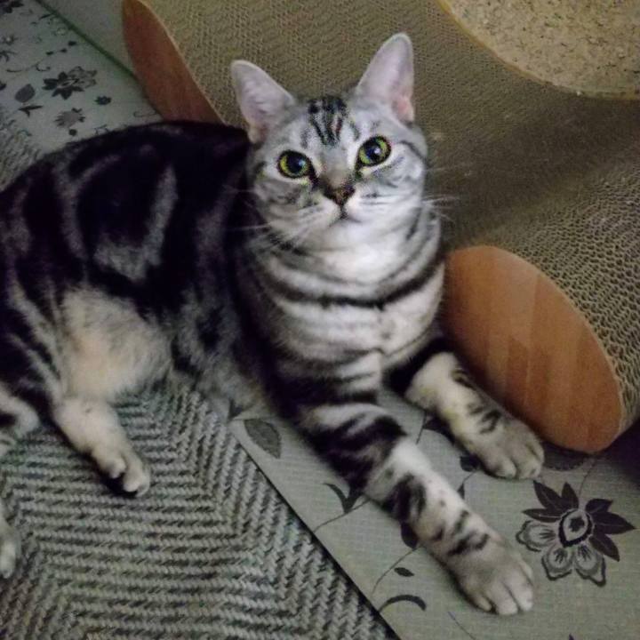 0c39060e b452 4171 ac8b be3760891b77 1684445423866