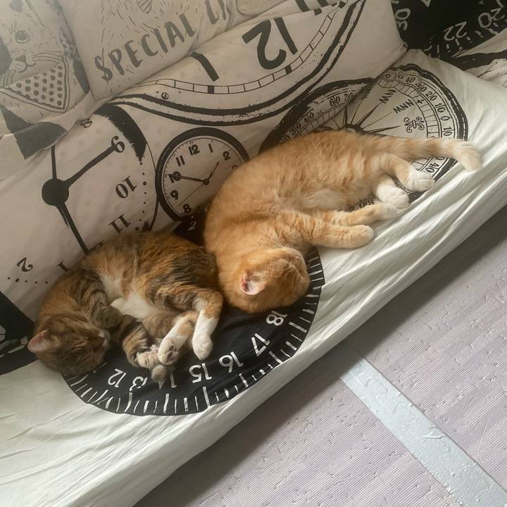 0c3924b9 1d23 4083 8e67 54b5ee087562 1659710950989