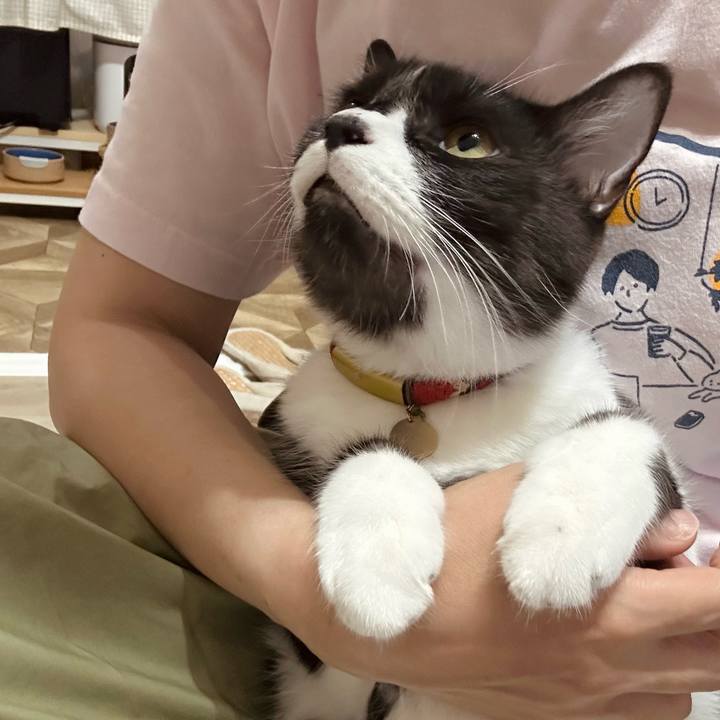 0c3932d6 ce0b 4ed9 ae52 1e9aec15b5ae 1754221246739