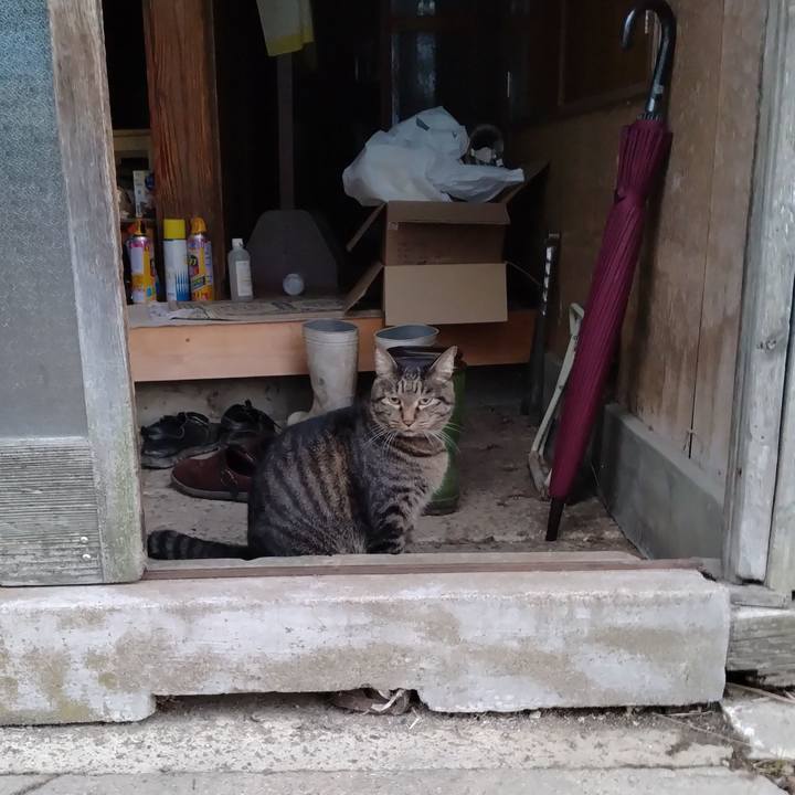 0c39519a f5c2 4992 8282 7d980b541669 1665437365584