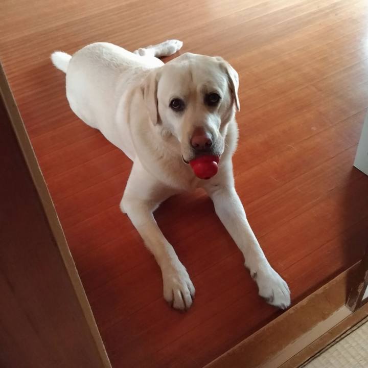 0c395bc4 8a84 4ebf 89f2 cd37d9e7141f 1587959728888