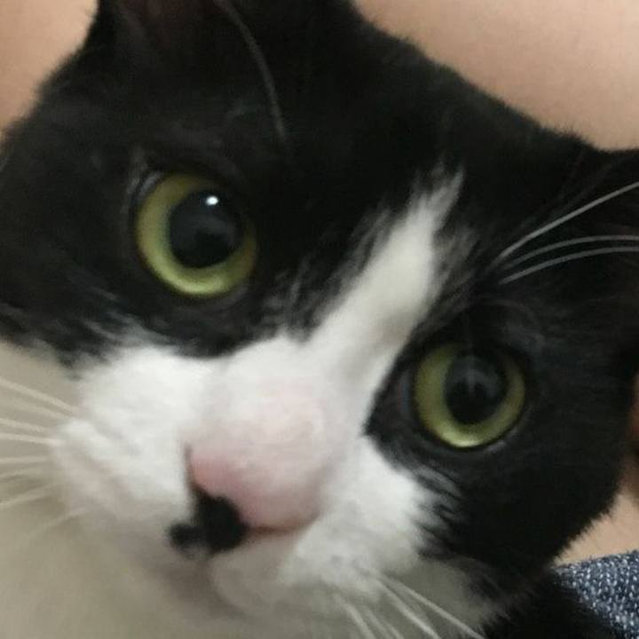 0c396b34 74e5 43a1 ae35 6065ce104f9a 1534568767206