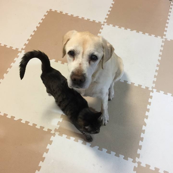 0c398c03 5a13 4fcf 8e38 290350795bb4 1523834575602