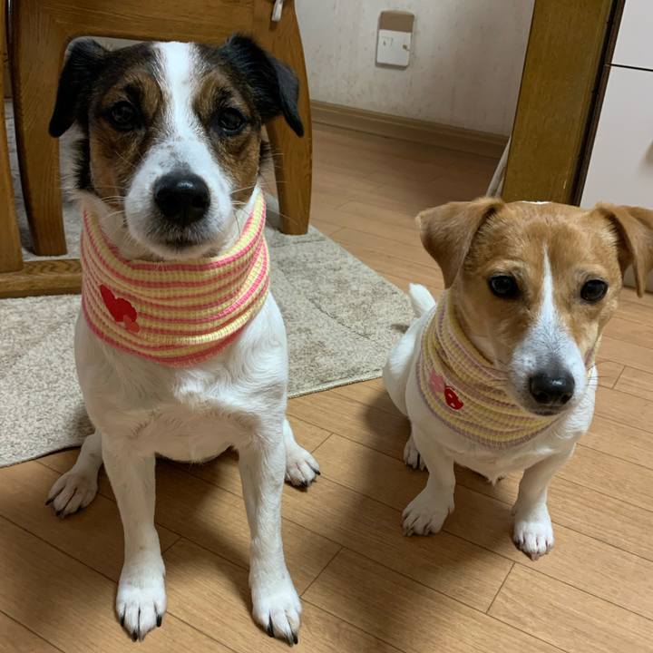 0c39973b 515b 4a0f a7ef c4bcf595f9f1 1579413567354