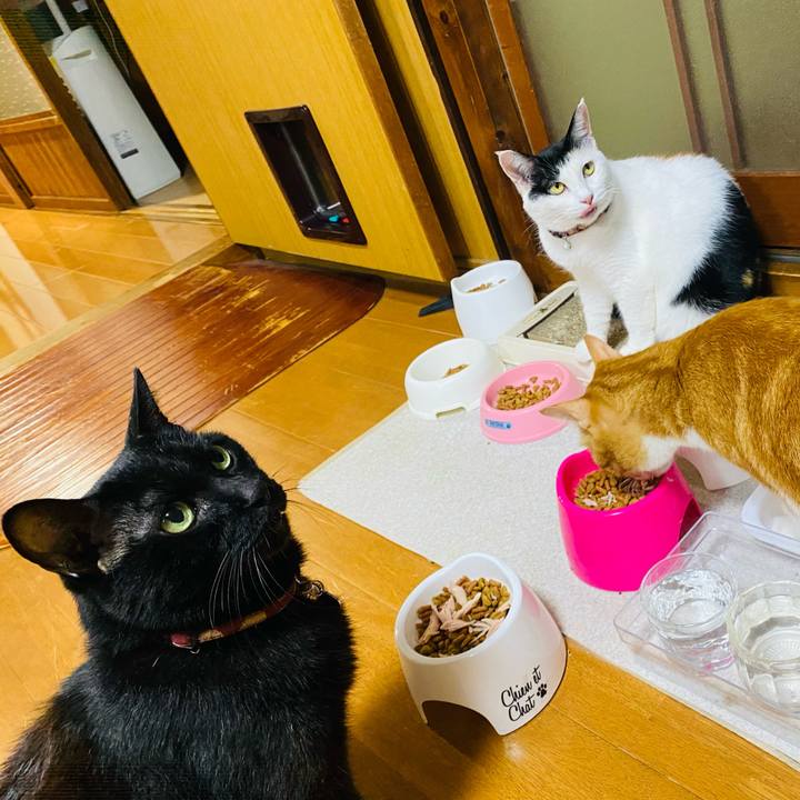 0c399cab 382c 4526 b250 d417fe6c8da6 1662545669327