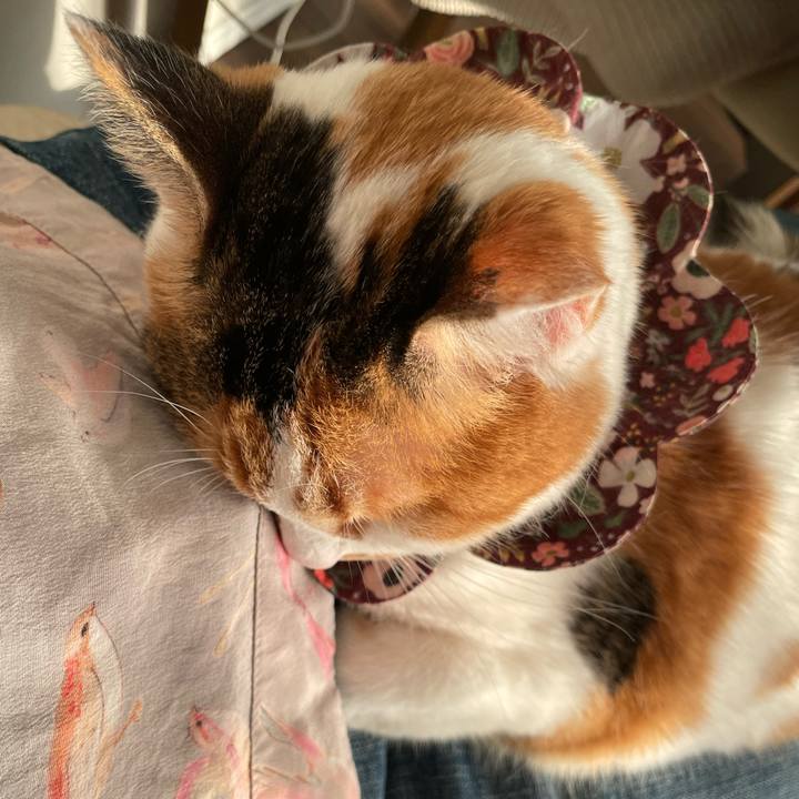 0c39dadd d288 4afc 9763 536d22e3b4c1 1740901982014