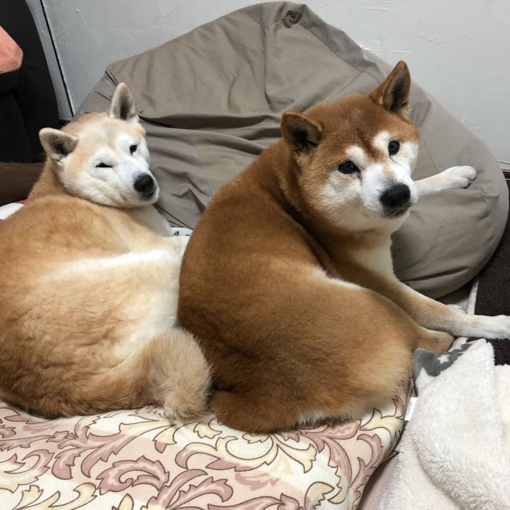 0c39e865 a7c0 41c5 9acc 21b2888718ab 1580942077631