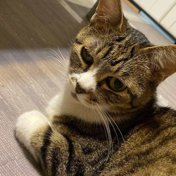 0c3a2da6 436b 41c5 9dd4 84454073331b 1623587654702