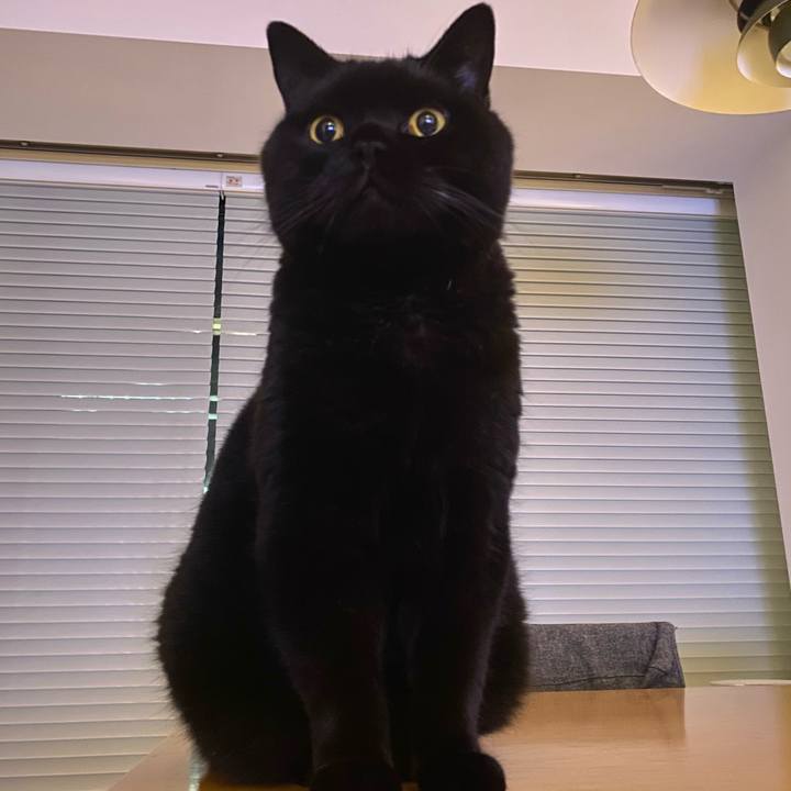 0c3a4751 900e 4192 b7ed 31bfe375e0c5 1754656078032