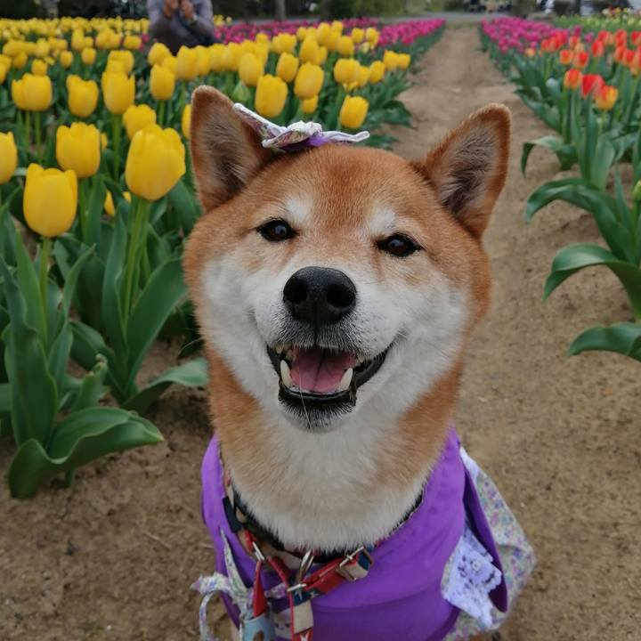 0c3a4ddc 7edd 437c 8b21 62acabf0513d 1680443799501