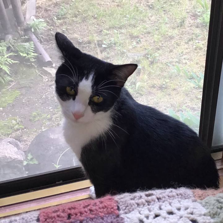 0c3a77b7 59b9 4271 8bbe fe89db0ea0d2 1655629534895