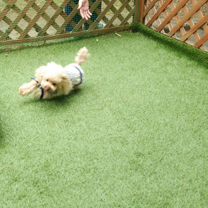 0c3a88c5 6edf 4605 b004 c7a4058e6f90 1554884794227