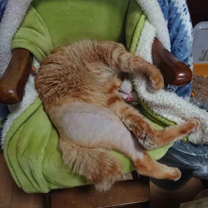 0c3a8ccb 1058 42bc b653 84655684fabf 1655430289846