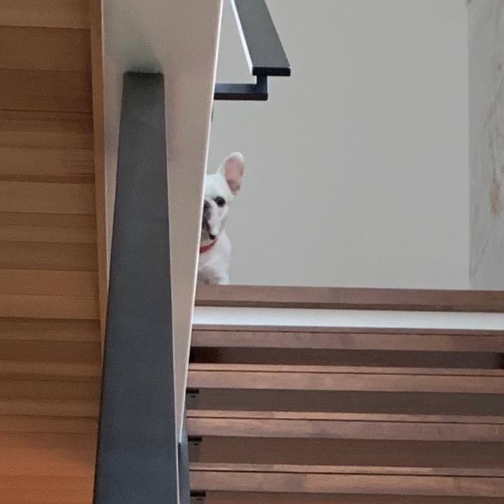 0c3ac597 03e8 4011 8bde d0bc73d17b90 1593404831803