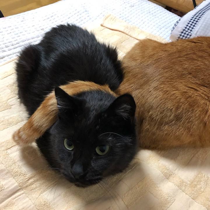 0c3af665 a848 4a8c 9c7a b7906c5dd02a 1669187994976