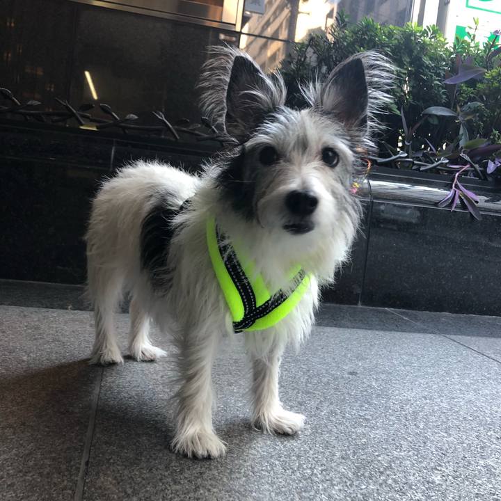 0c3b1add 4f70 41bf bb64 dcc831966735 1546267613601