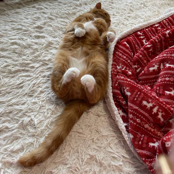 0c3b2c59 8fc6 4e18 92b0 4c4784ac73d5 1684031116062