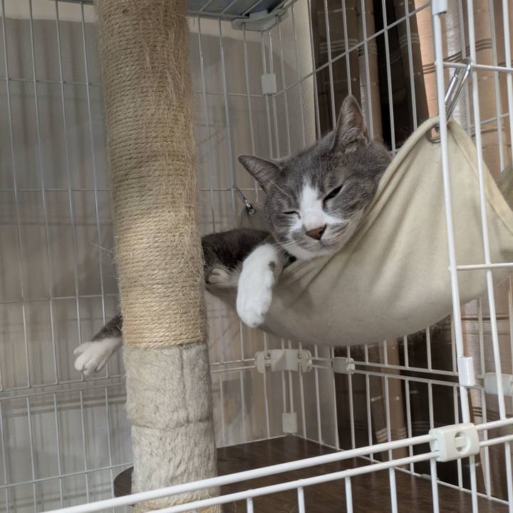 0c3b33d5 0bbd 4e53 9ab6 f04ffb429d25 1754391707255